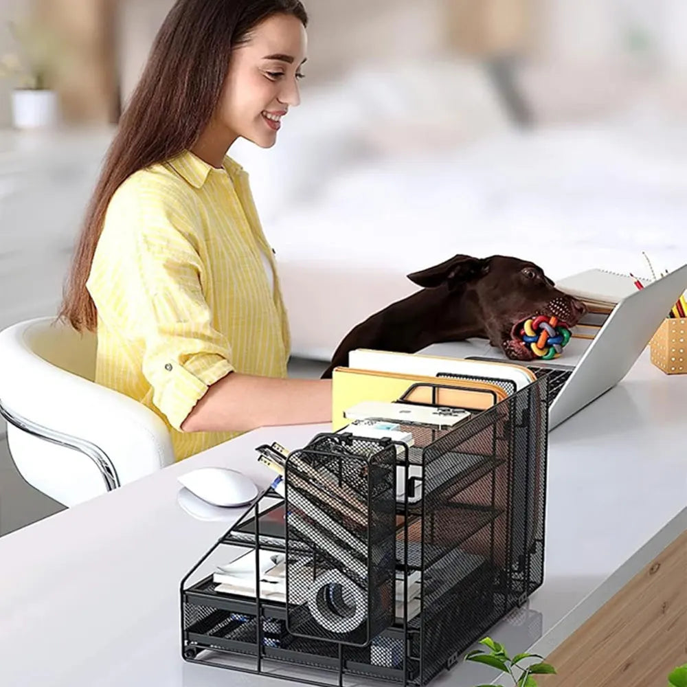 Organizador de Escritorio 5 Capas con Rejilla Metálica